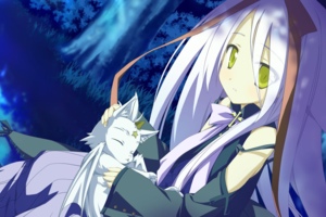 [GALGAME][FAVORITE] 星空的记忆 + FD [汉硬]